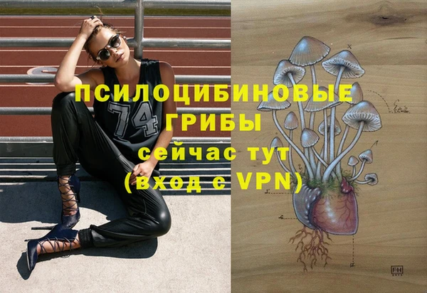 синтетический гашиш Алексеевка